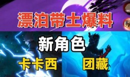 漂泊带土技能爆料视频,技能爆料视频深度解析